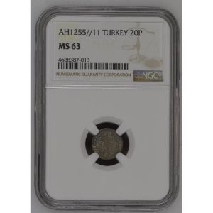 Abdülmecid 20 Para 1255/11