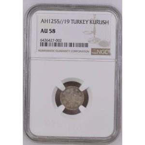 Abdülmecid 1 Kuruş 1255/19